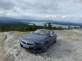 BMW 8 (G15)