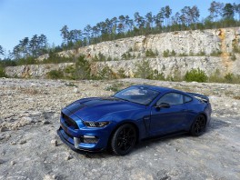 Ford Shelby GT-350R - Autoart 1:18