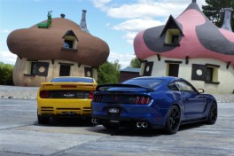 Ford Mustang - Saleen, Shelby